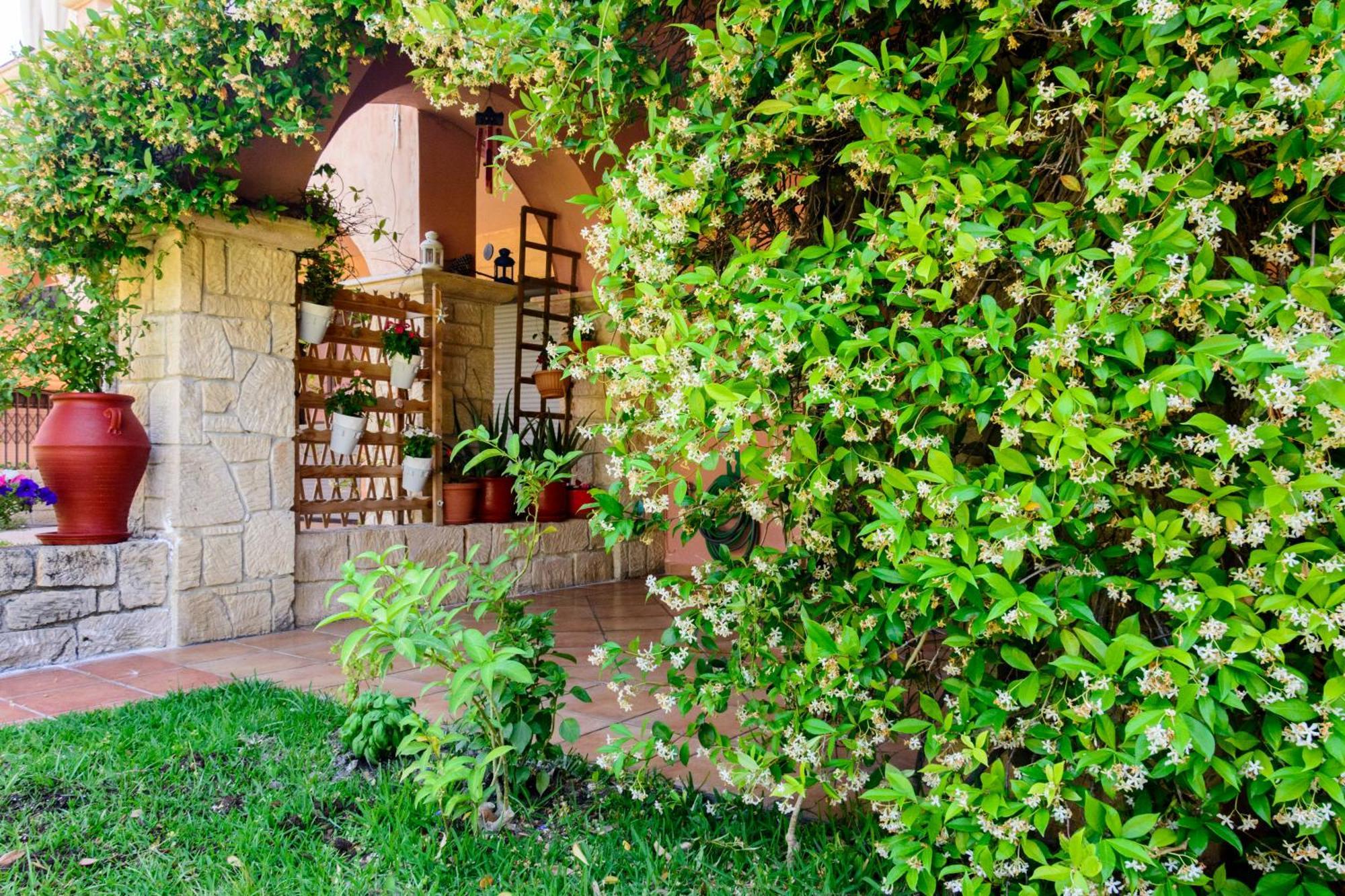 La Luna House Pefkochori Exterior photo